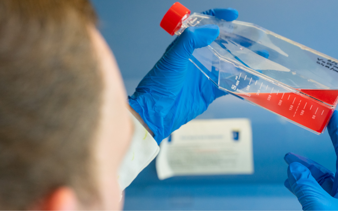 Omivera Expands European Operations with New Innovation Hub in Leiden