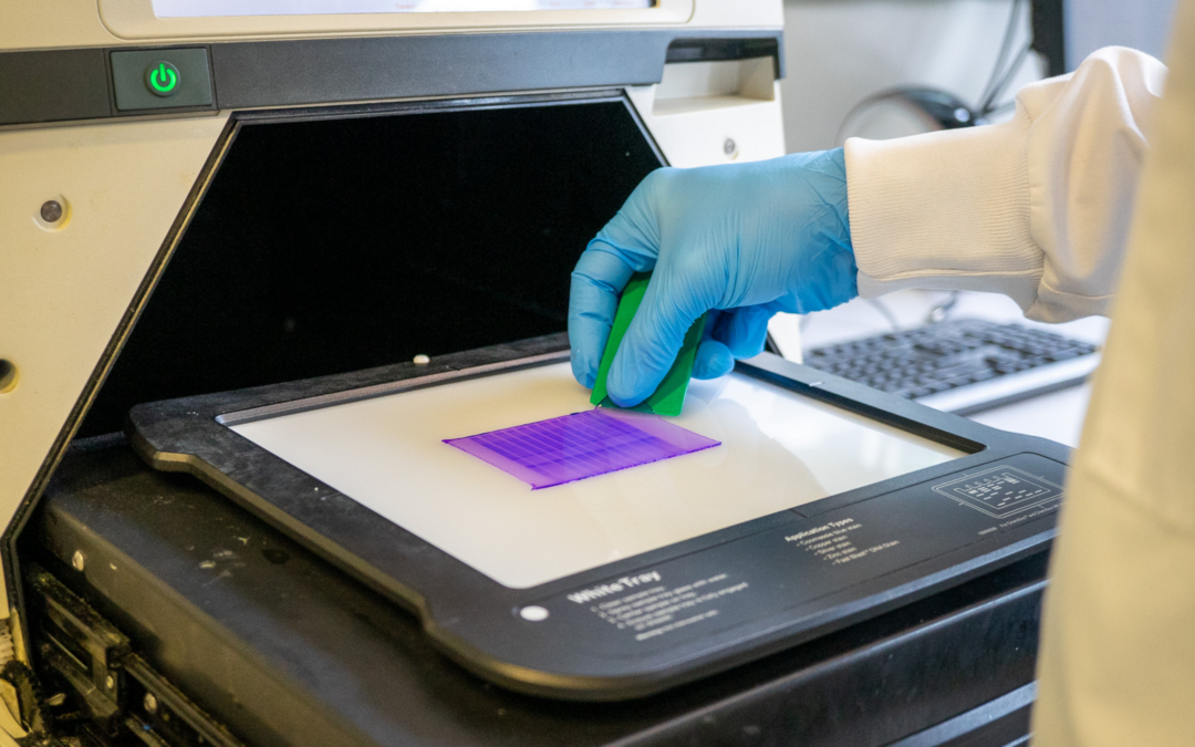 Omivera Launches Strategic Partnership Program to Support Emerging Biotech Companies